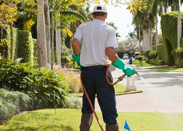 About Lovejoy IL Pest Control